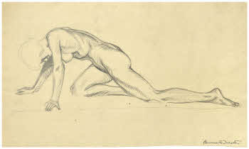 Visualizza l'immagine "FD D 2906"